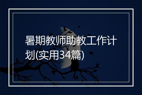 暑期教师助教工作计划(实用34篇)