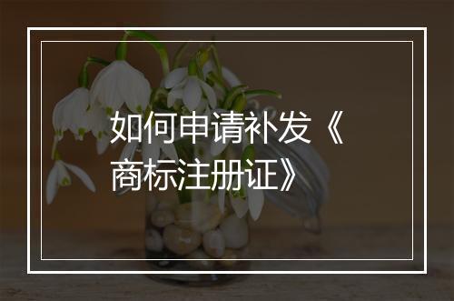 如何申请补发《商标注册证》