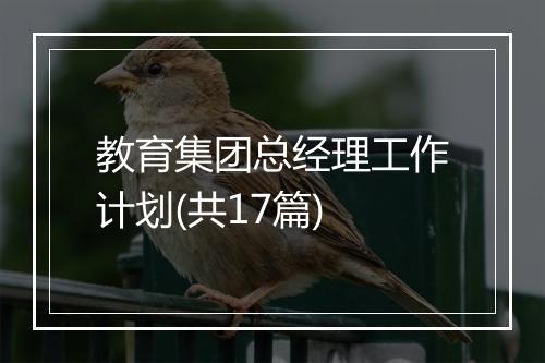 教育集团总经理工作计划(共17篇)