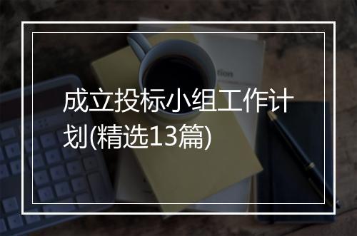 成立投标小组工作计划(精选13篇)