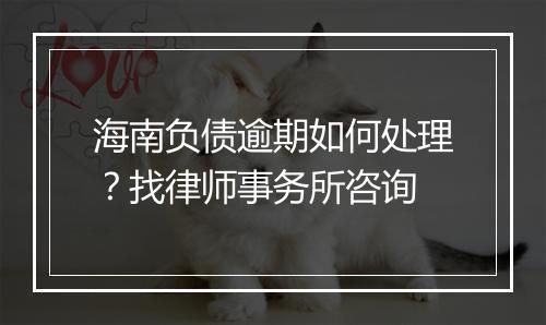 海南负债逾期如何处理？找律师事务所咨询