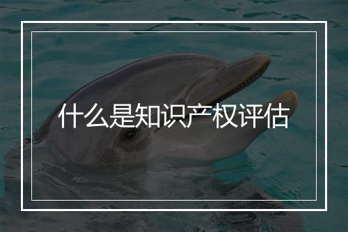 什么是知识产权评估