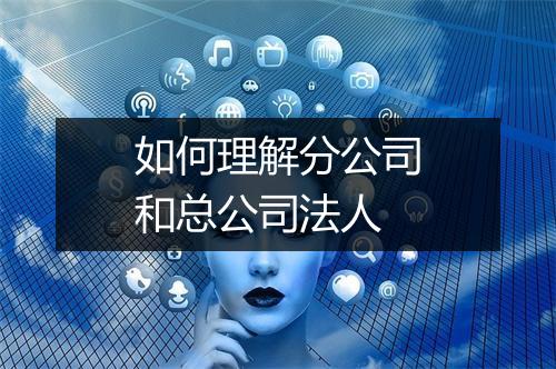 如何理解分公司和总公司法人