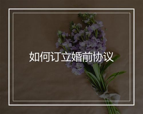 如何订立婚前协议