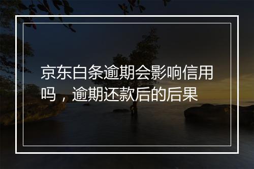 京东白条逾期会影响信用吗，逾期还款后的后果