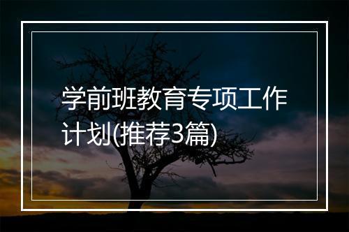 学前班教育专项工作计划(推荐3篇)