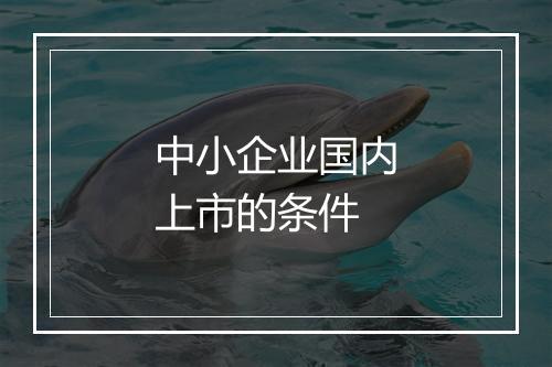 中小企业国内上市的条件