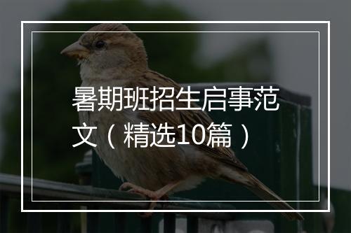 暑期班招生启事范文（精选10篇）