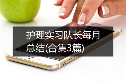 护理实习队长每月总结(合集3篇)