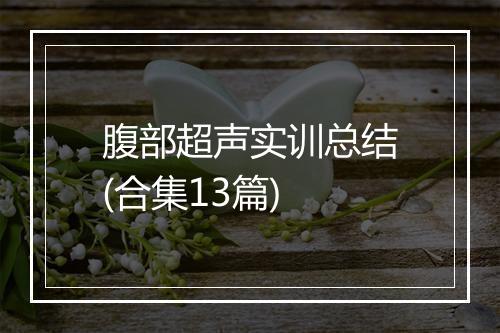 腹部超声实训总结(合集13篇)