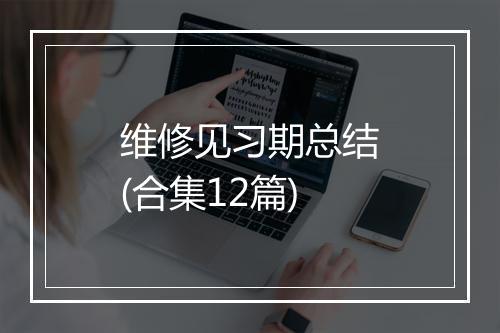 维修见习期总结(合集12篇)