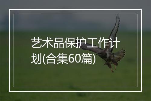 艺术品保护工作计划(合集60篇)