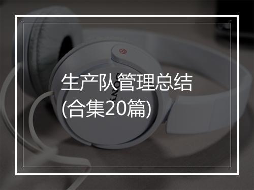 生产队管理总结(合集20篇)