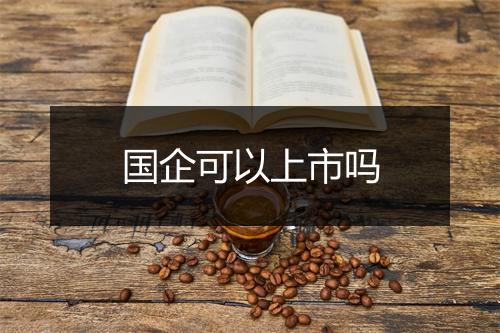 国企可以上市吗