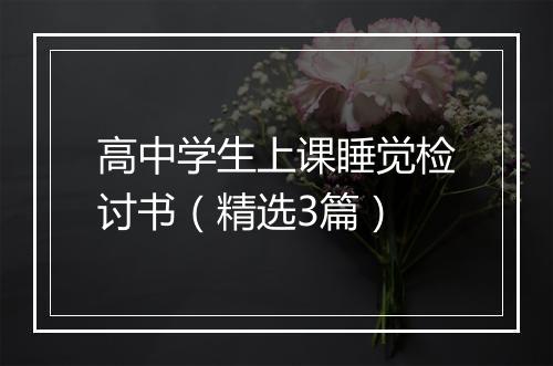 高中学生上课睡觉检讨书（精选3篇）