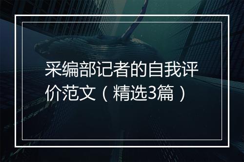 采编部记者的自我评价范文（精选3篇）