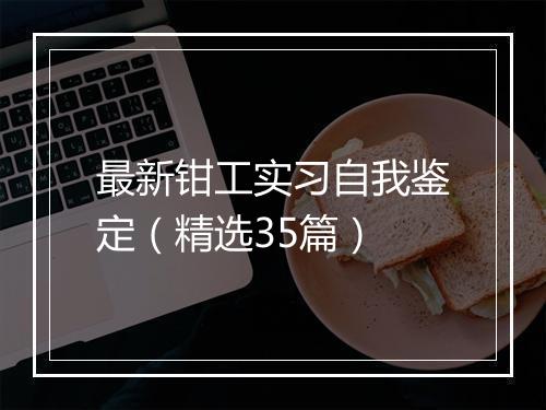 最新钳工实习自我鉴定（精选35篇）