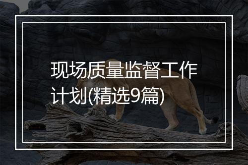 现场质量监督工作计划(精选9篇)