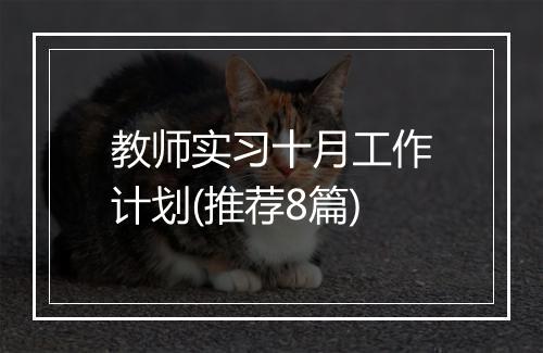 教师实习十月工作计划(推荐8篇)