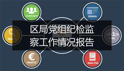 区局党组纪检监察工作情况报告