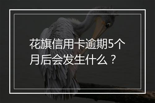 花旗信用卡逾期5个月后会发生什么？