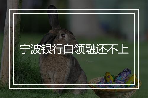 宁波银行白领融还不上