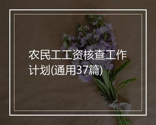 农民工工资核查工作计划(通用37篇)