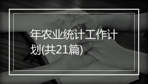 年农业统计工作计划(共21篇)