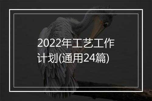 2022年工艺工作计划(通用24篇)