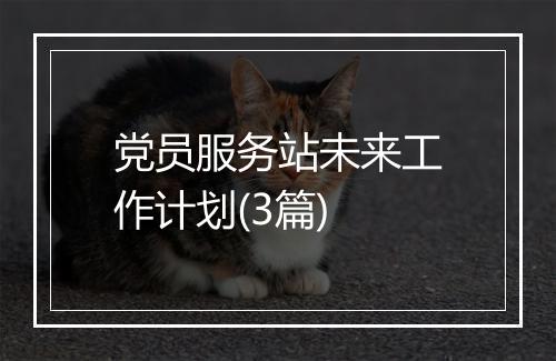 党员服务站未来工作计划(3篇)