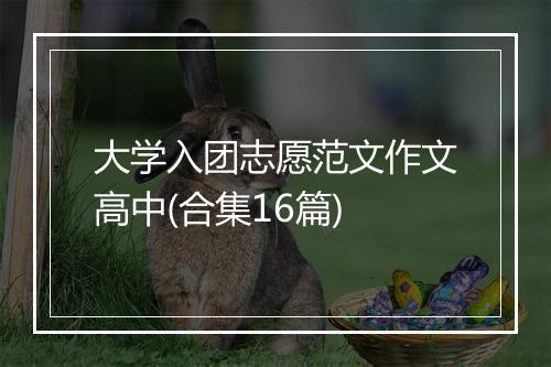 大学入团志愿范文作文高中(合集16篇)