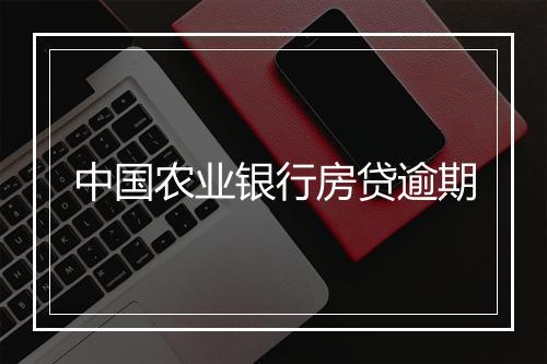 中国农业银行房贷逾期