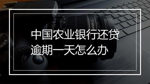 中国农业银行还贷逾期一天怎么办