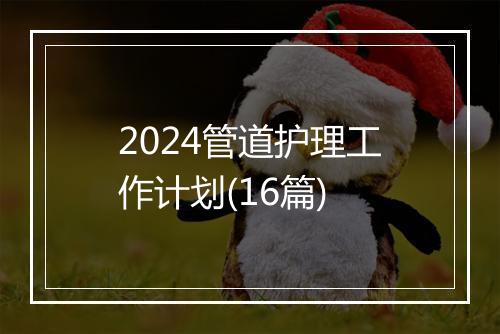 2024管道护理工作计划(16篇)