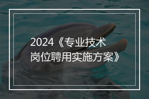 2024《专业技术岗位聘用实施方案》
