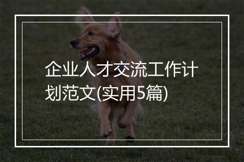 企业人才交流工作计划范文(实用5篇)