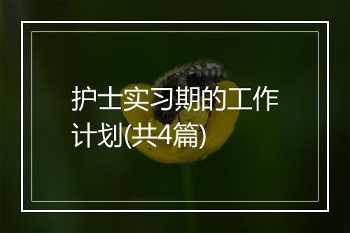 护士实习期的工作计划(共4篇)