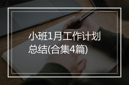 小班1月工作计划总结(合集4篇)