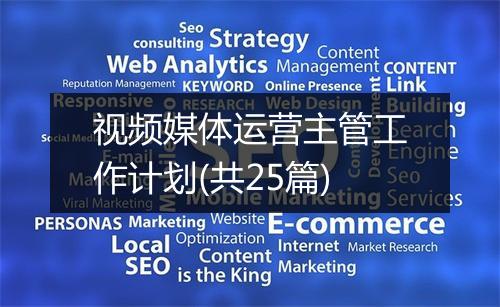 视频媒体运营主管工作计划(共25篇)