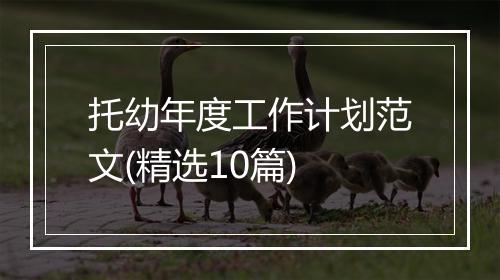托幼年度工作计划范文(精选10篇)