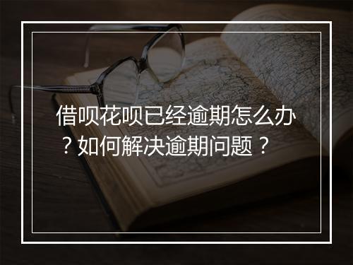 借呗花呗已经逾期怎么办？如何解决逾期问题？
