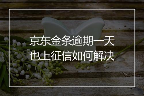 京东金条逾期一天也上征信如何解决