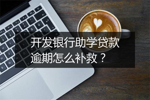 开发银行助学贷款逾期怎么补救？