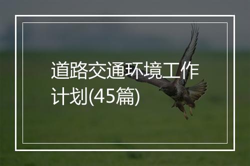 道路交通环境工作计划(45篇)