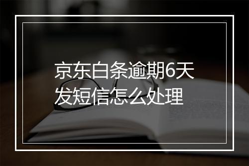 京东白条逾期6天发短信怎么处理