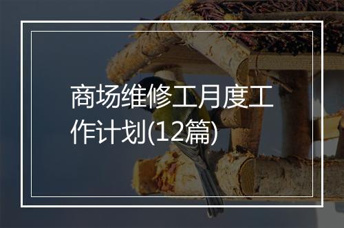 商场维修工月度工作计划(12篇)
