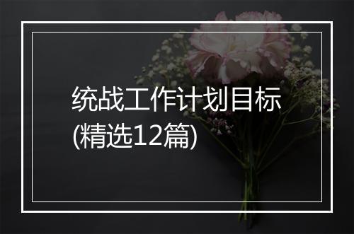 统战工作计划目标(精选12篇)
