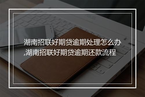 湖南招联好期贷逾期处理怎么办,湖南招联好期贷逾期还款流程