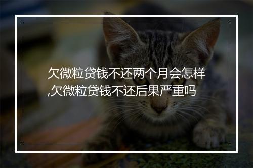 欠微粒贷钱不还两个月会怎样,欠微粒贷钱不还后果严重吗