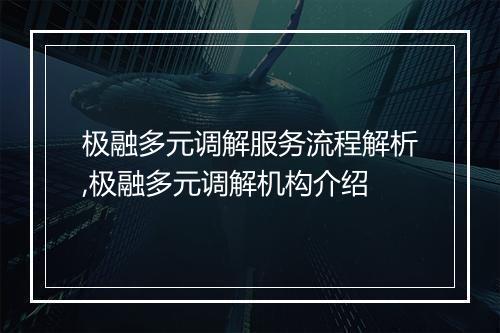 极融多元调解服务流程解析,极融多元调解机构介绍